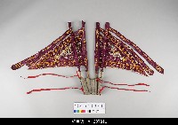 藏品(泉州傀儡戲道具-帥旗)的圖片